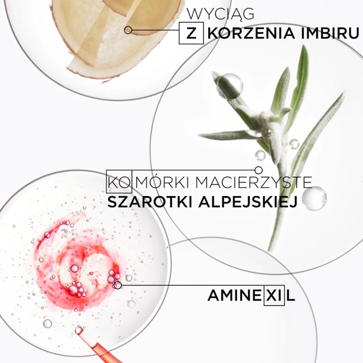 Kérastase Genesis Sérum Fortifiant - Serum Przeciw Wypadaniu Włosów 30ml składniki aktywne.jpg